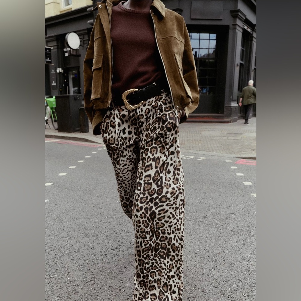 Zara Leopard Pants
